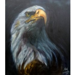 Eagle by Matin Sadeghi